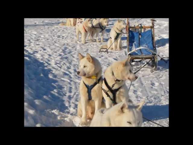 Nature Tours of Yukon's Arctic Discovery Tour