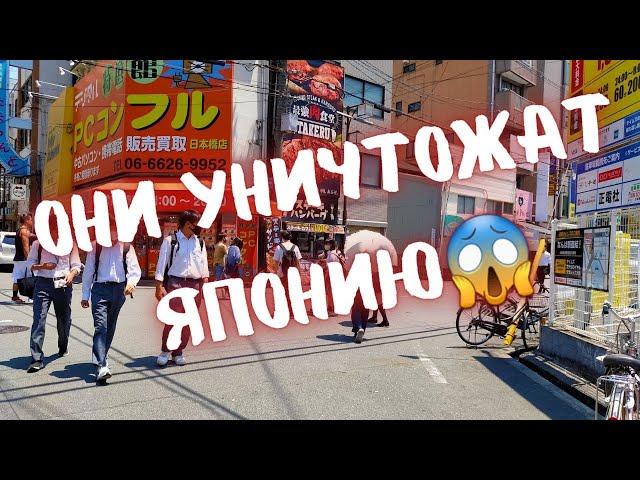 "ТРАВОЯДНЫЕ" МУЖЧИНЫ - кто они такие и почему их не любят японки