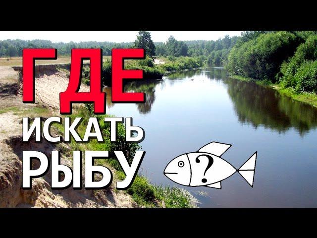 Где искать хищника на незнакомой реке : НР #5