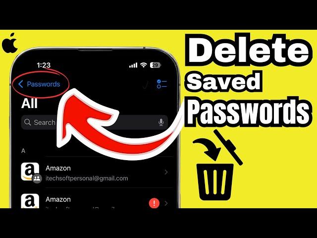 How to Delete Saved Passwords on iPhone 16 Pro/16 Pro Max, 15, 14, 13, 12, iPhone 11