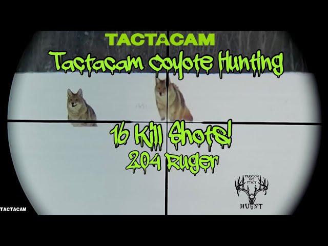 Coyote Hunting Tactacam POV Kill shots!