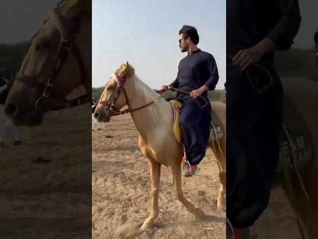 Feroze khan enjoying horse riding #ferozekhan