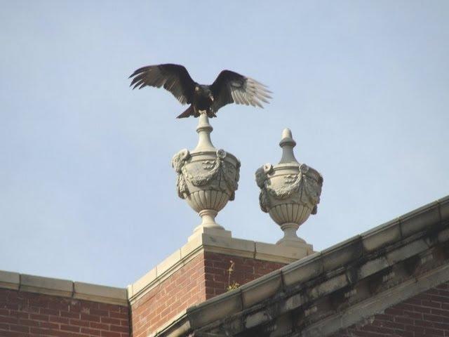 HALLOWEEN ASYLUM GHOSTS! Central State Hospital Milledgeville GA (2013) PRESERVE THESE BUILDINGS!