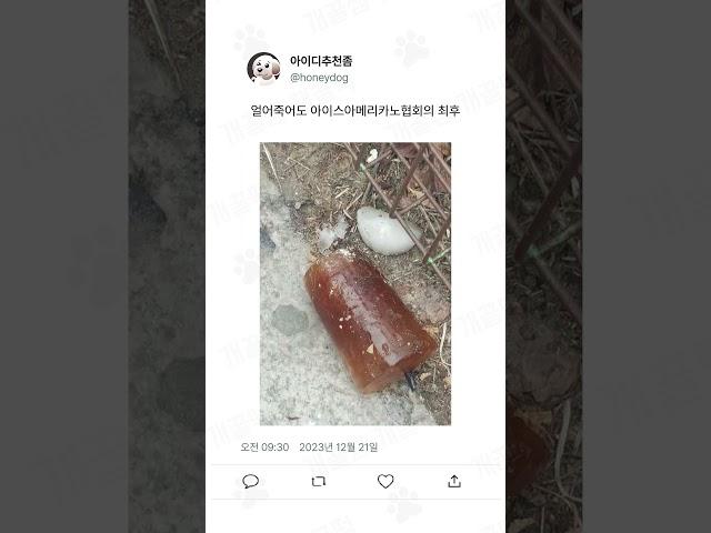 웃긴 상황들 20탄 ㅋㅋㅋㅋ