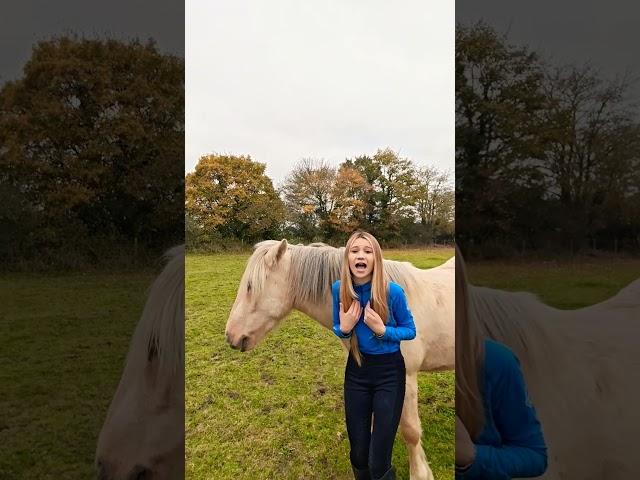 OBSESSED WITH THIS SONG  #horse