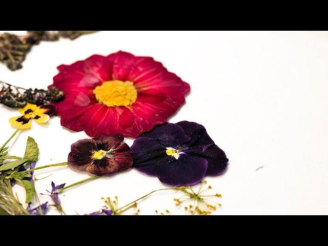 4 Ways to Press Flowers for Art and Home Decor -  How to Dry Flowers and Keep Their Color