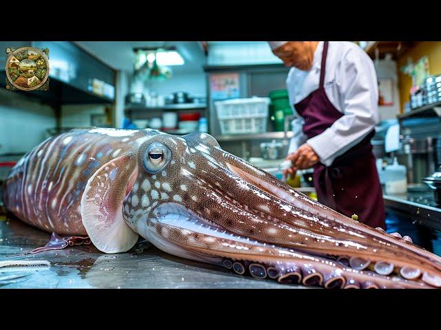 Explore Japanese cuisine, How chefs prepare 1000 delicious dishes from Cuttlefish - Emison Newman