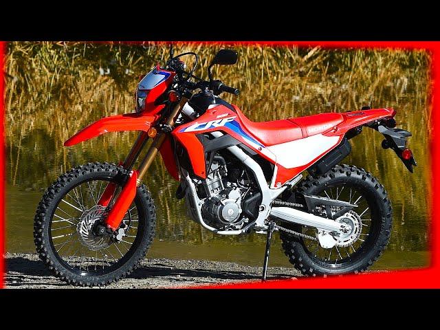 Honda CRF300L Dual Sport - Dirt Bike Magazine