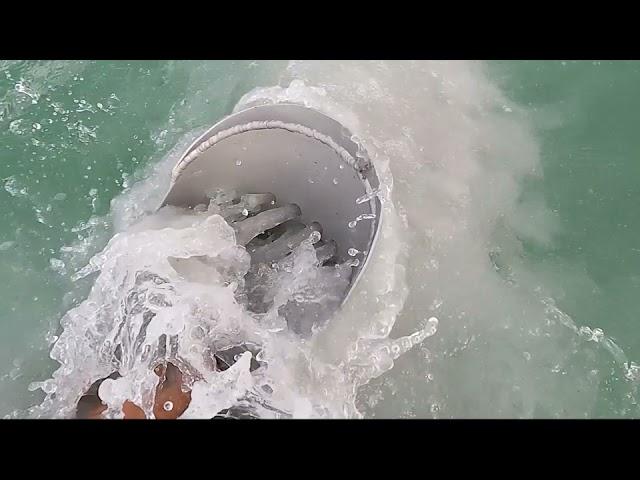Florida Mike - I found 5 rings and a bracelet metal detecting. Check this out, I'm on Fire.