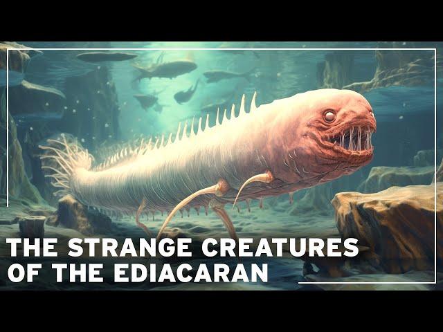 Before the Dinosaurs: The Mysteries of the Lost Age of Ediacaran Creatures | Documentary