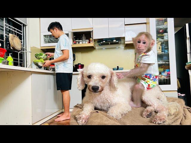 Bibi enlisted help dad when he busy cooking