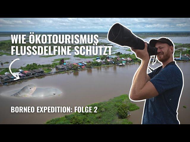 Ökotourismus schützt extrem gefährdete Flussdelfine | Borneo Expedition Folge 2