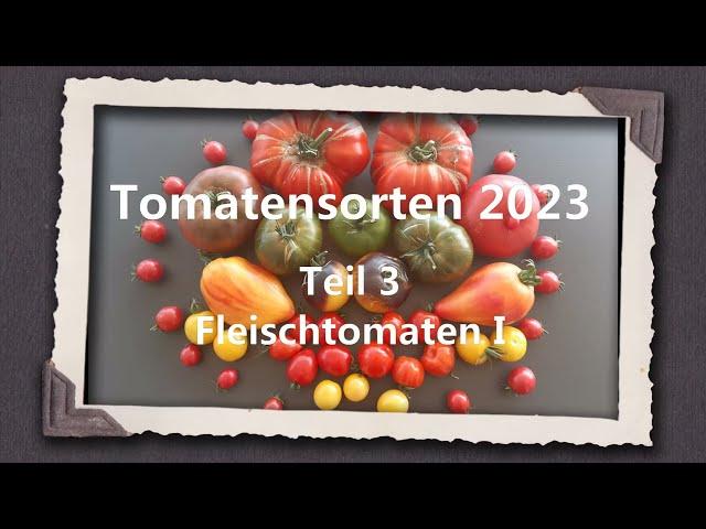 Tomatensorten 2023 Teil 3 - Fleischtomaten I