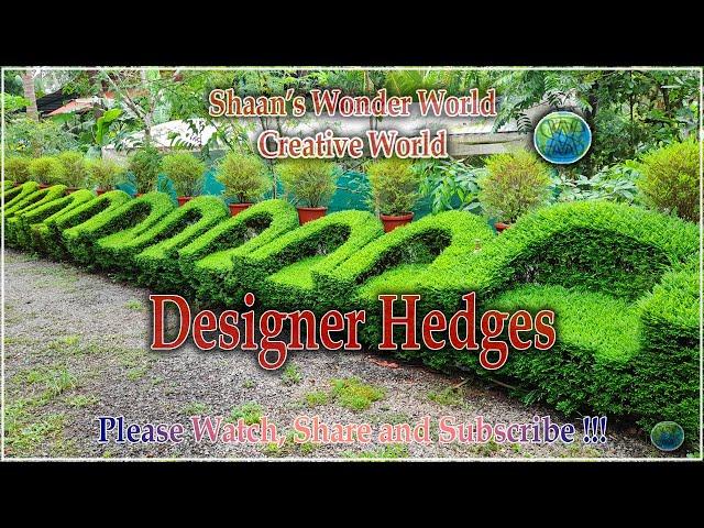 Shaan's Wonder World !! Creative World !!! Designer Hedges !! Please Watch Share and Subscribe !!!