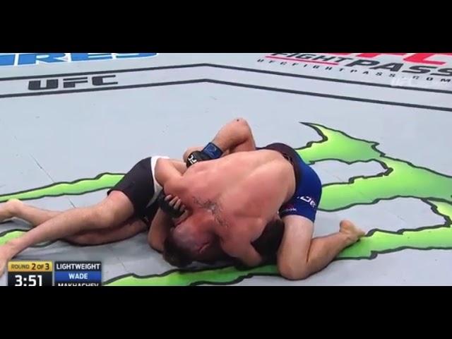 Random Fly Lands On Islam Makhachev Mid Fight