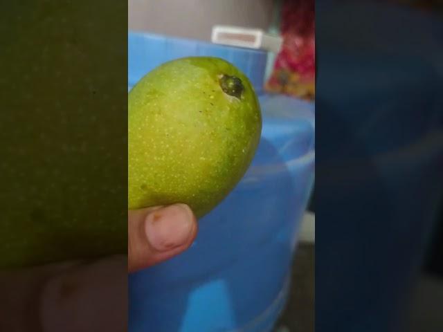 priti family vlog #shorts #familychannel #vlog