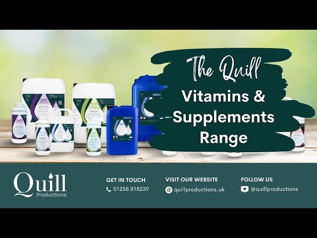 The Quill Vitamins & Supplements Range