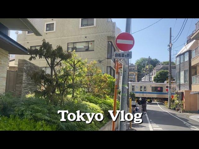 Tokyo vlog| Yoyogi Asakusa date, Shinjuku brunch restaurant, pregnant women's daily life.