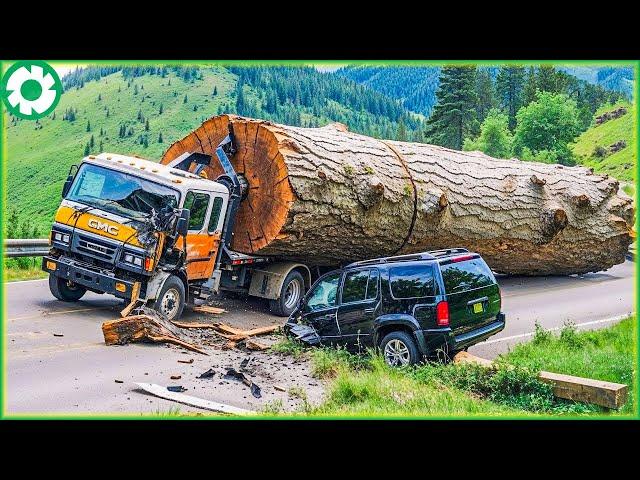 Extreme Dangerous Transport Skill Operations Car Crusher | Biggest Heavy Machinery Machines #5