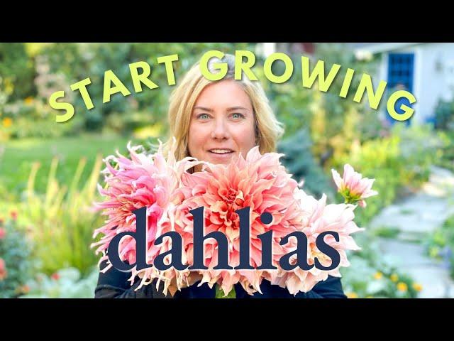 Get started with dahlias  A guide to the basics