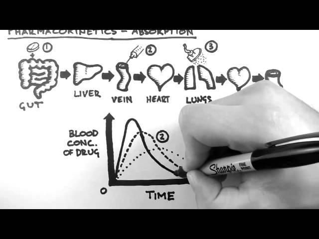 Pharmacokinetics 2  - Absorption