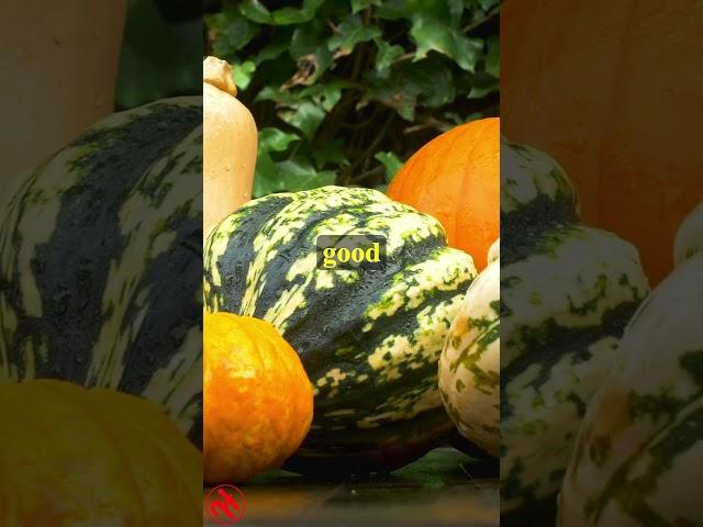 Do you eat Gourds Everyday? #health #wellness #shorts