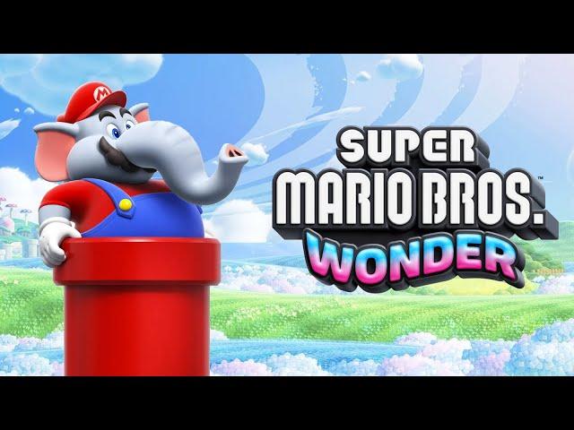 Super Mario Wonder (dunkview)