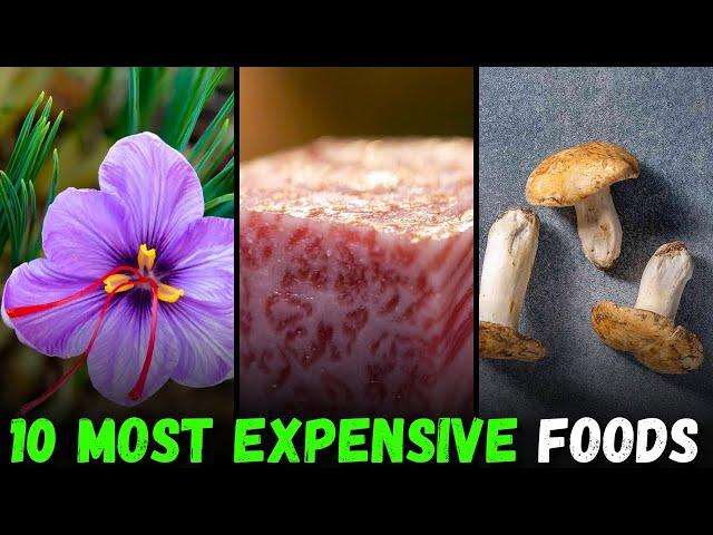 10 Most Expensive Food in The World | Most Expensive things