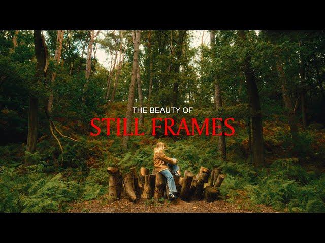 the beauty of still frames | Sony FX30 | Film Emulation