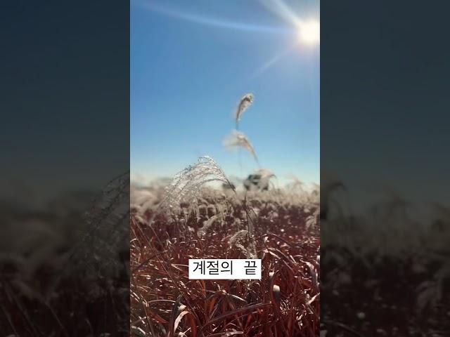 계절의 끝 #광산구 #황룡강 #광주 #광주맛집