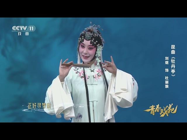 [青春戏苑]昆曲《牡丹亭》 表演：刘煜|中华戏韵