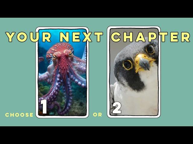 You are entering into a NEW CHAPTER. Pick an animal!