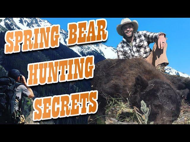 Spring Bear Hunting Tips - How to Stack Up Spot and Stalk Bears