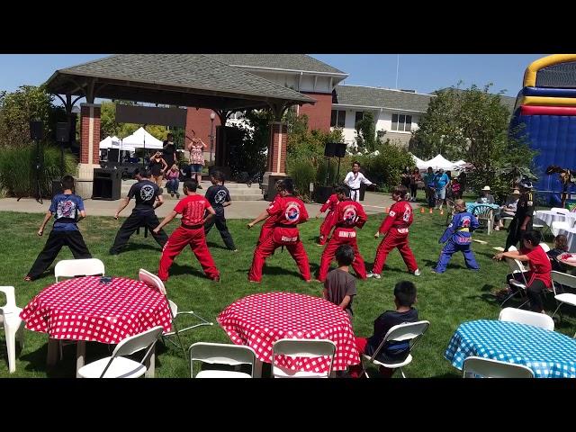 2017 Fairview on the Green - Gresham World Champion Taekwondo