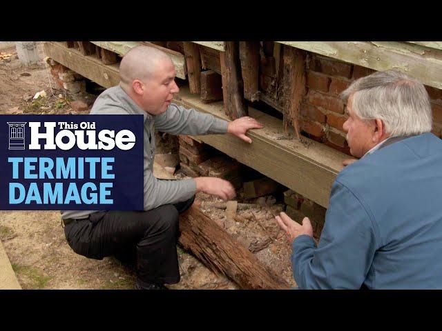 How to Prevent Termite Damage | This Old House