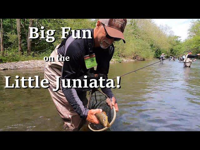 Little Juniata & The Perdigon Fly