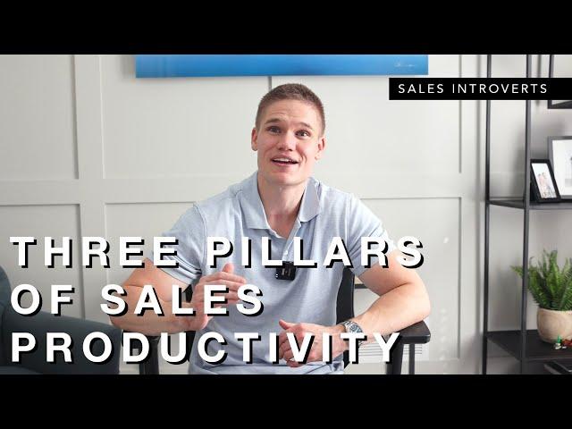 Three Pillars of Sales Productivity ALL Sales Reps Need