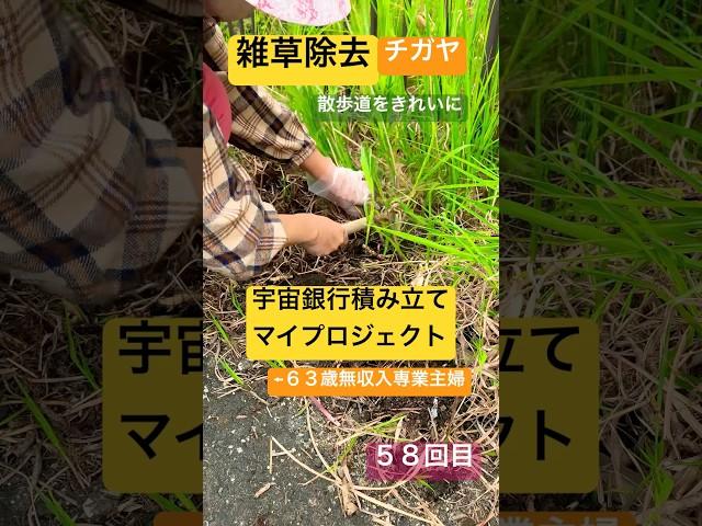 雑草除去58回目宇宙銀行積み立てマイ・プロジェクト　#シニアライフ  #雑草