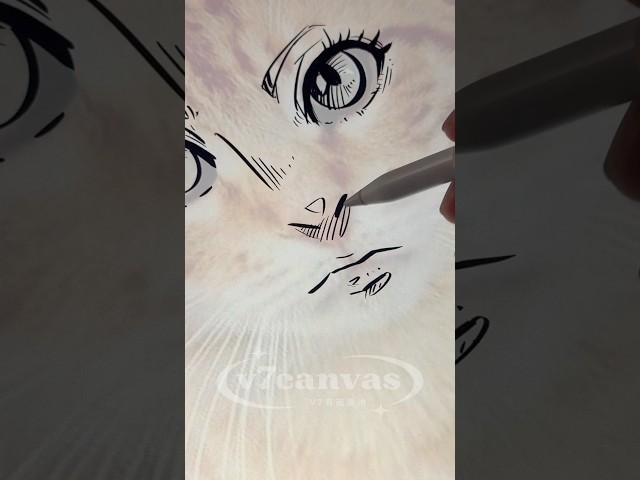 Cat anime face theory?