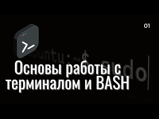 Основы работы с терминалом и BASH | Основные команды терминала. Первый скрипт на BASH.