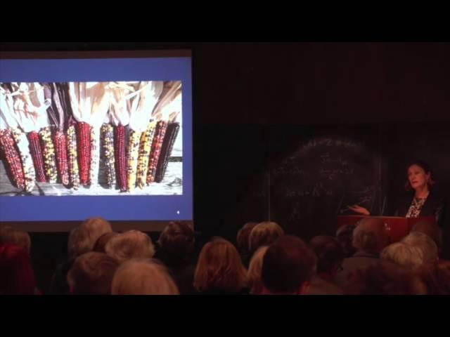The American Plate: A Culinary History in 100 Bites - Libby H. O'Connell