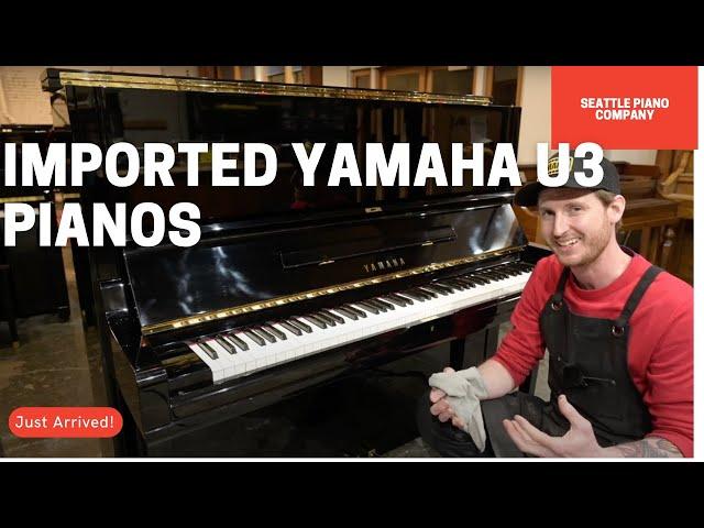 What are imported Yamaha U3 pianos? A look inside one of our newly imported refurbished Yamaha U3s