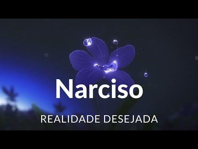 Meditação para Realidade Desejada com Método Narciso
