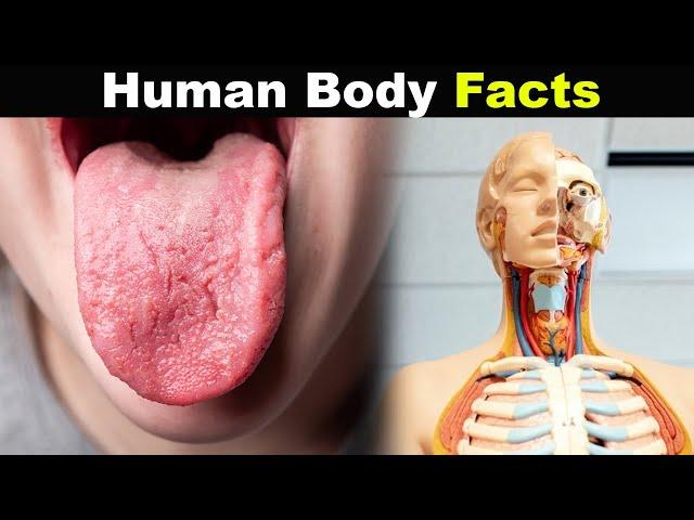 Most Amazing Facts And Things You Didn't Know About Human Body! (Urdu/Hindi)