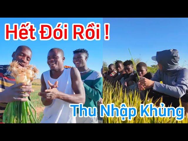Công Giáp || Liệu Có Vội Vàng ? Quyết Định Kỹ Chưa Các Anh ! Màu Bội Thu Khủng Đến Với Người Dân Bản
