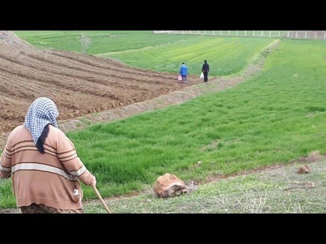 Karpuz Kavun Dikmeye gidiyoruz Osmancık Kargı Köyündeyiz yağmur yağıyor bereketi olur İnsAllah #vlog