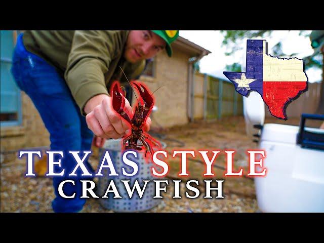 HOW To COOK The BEST CRAWFISH TEXAS STYLE | Crawfish Boil