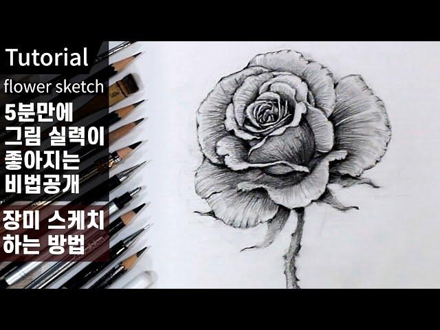 Sketch skills improve in 5 minutes / Reveal 3 tips to make flower sketches easier / rose sketch