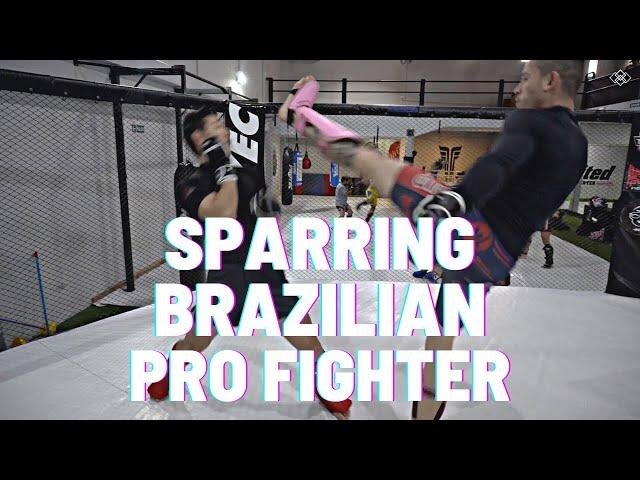 Sparring Brazilian Pro MMA Fighter (Breakdown)