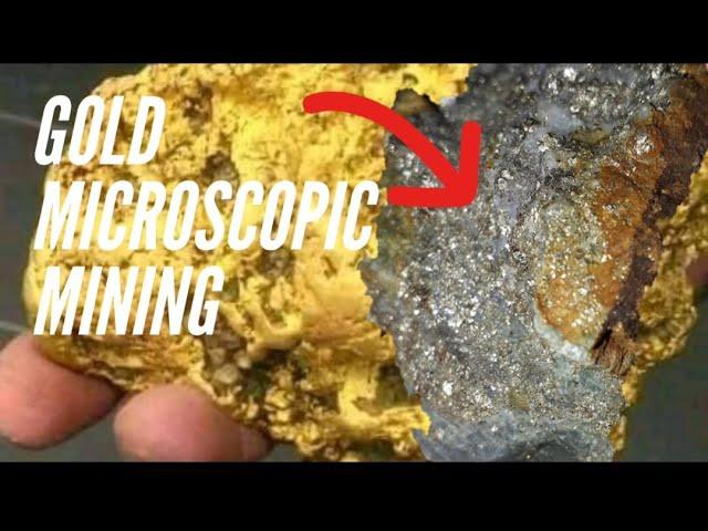 Mining gold microscopic